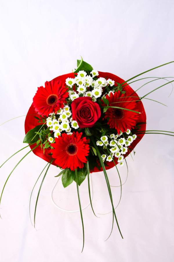 kvety kaja upravené (10 z 71)